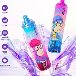 RandM Tornado 15000 Puffs 2% 5% Nicotine LED display Disposable E Cigarettes